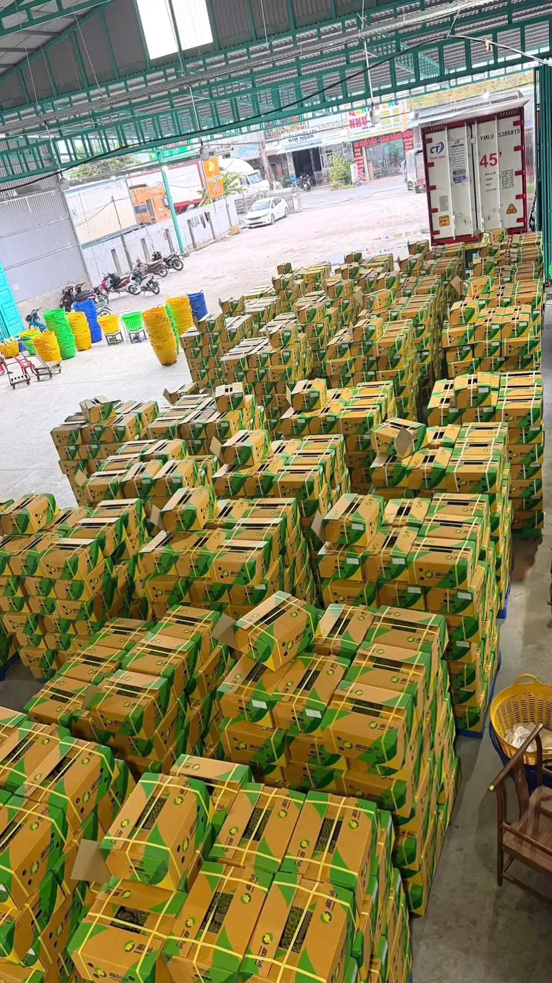 Sầu riêng được đóng thùng tại Kho Kim Hỷ