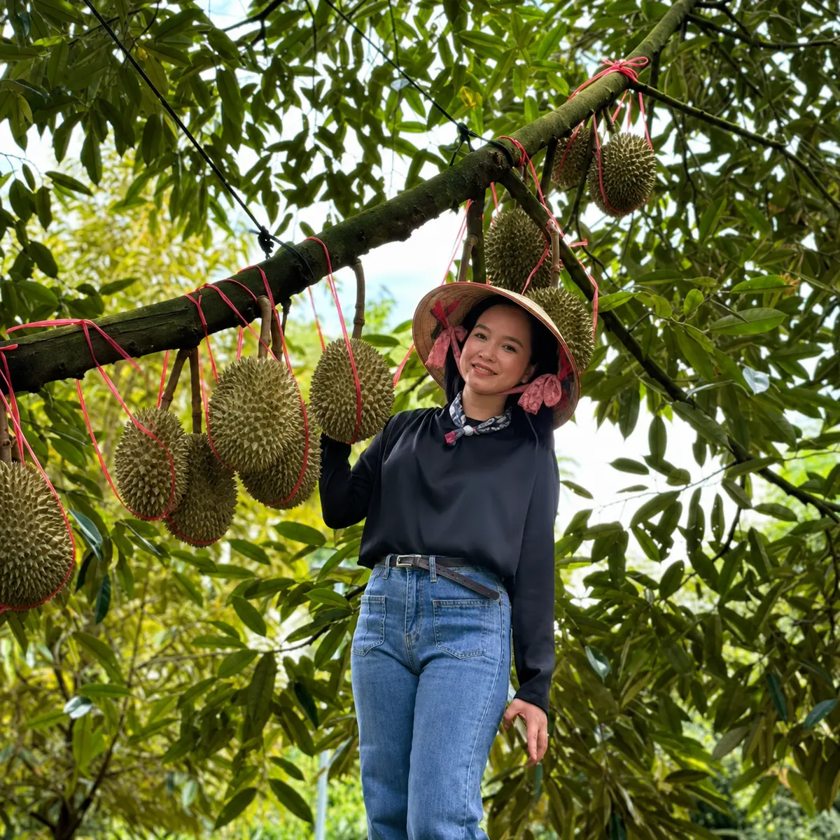 Ngọc Hoan xem hàng tại vườn sầu riêng